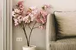 Сад у вас дома: 9 лепшых квітнеючых пакаёвых раслін з назвамі і фота