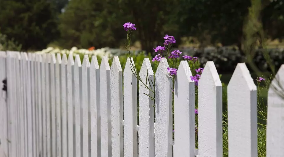 A kerítés helyett: 7 módja annak, hogy a házat a privattat