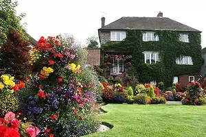 10 schöne Blumen, die in Ihrem Garten auch ohne Sorge blühen werden 8180_1