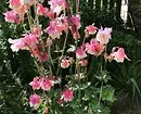 10 pięknych kwiatów, które kwitną w twoim ogrodzie nawet bez opieki 8180_11