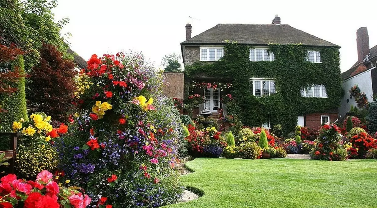 10 smukke blomster, der vil blomstre i din have selv uden pleje