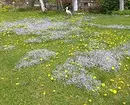 10 schöne Blumen, die in Ihrem Garten auch ohne Sorge blühen werden 8180_27