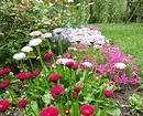 10 pięknych kwiatów, które kwitną w twoim ogrodzie nawet bez opieki 8180_66