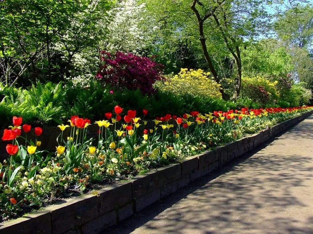 Hoe kinne jo prachtige blommenbêden meitsje, fersierd mei stiennen: Kies passende materialen en rassen 8202_46