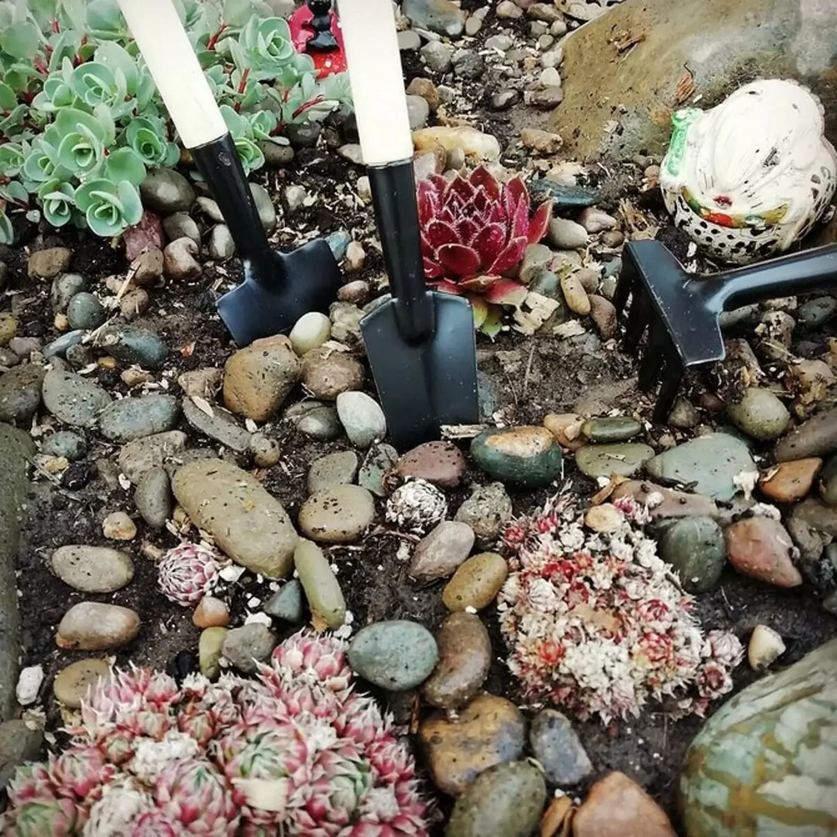 როგორ გააკეთოს ლამაზი ყვავილების საწოლი, გაფორმებული ქვები: აირჩიეთ შესაფერისი მასალები და ჯიშები 8202_59