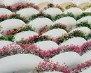 خوبصورت پھول کے بستروں کو کیسے بنانے کے لئے، پتھروں کے ساتھ سجایا: مناسب مواد اور نسلوں کا انتخاب کریں 8202_61