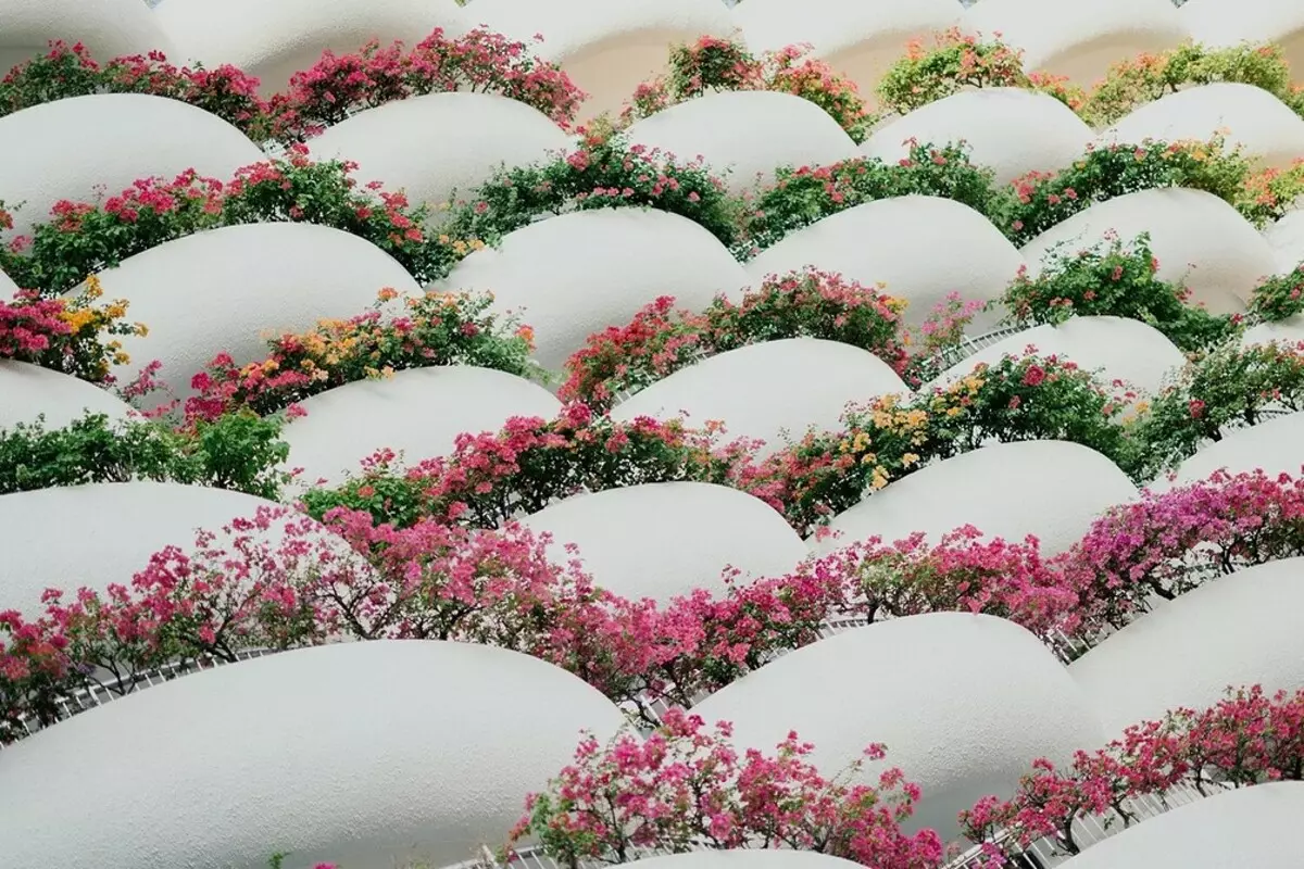 Hur man gör vackra blomsterbäddar, dekorerade med stenar: Välj lämpliga material och raser 8202_73