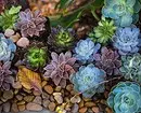 Како да направите убави цветни леи, украсени со камења: Изберете соодветни материјали и раси 8202_8
