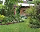 Jak udělat malou zahradu vizuálně prostorný: 10 inteligentní techniky 8245_17