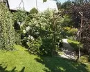 Jak udělat malou zahradu vizuálně prostorný: 10 inteligentní techniky 8245_19