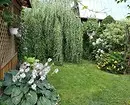 Como fazer um pequeno jardim visualmente espaçoso: 10 técnicas inteligentes 8245_4