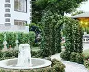 Jak udělat malou zahradu vizuálně prostorný: 10 inteligentní techniky 8245_49