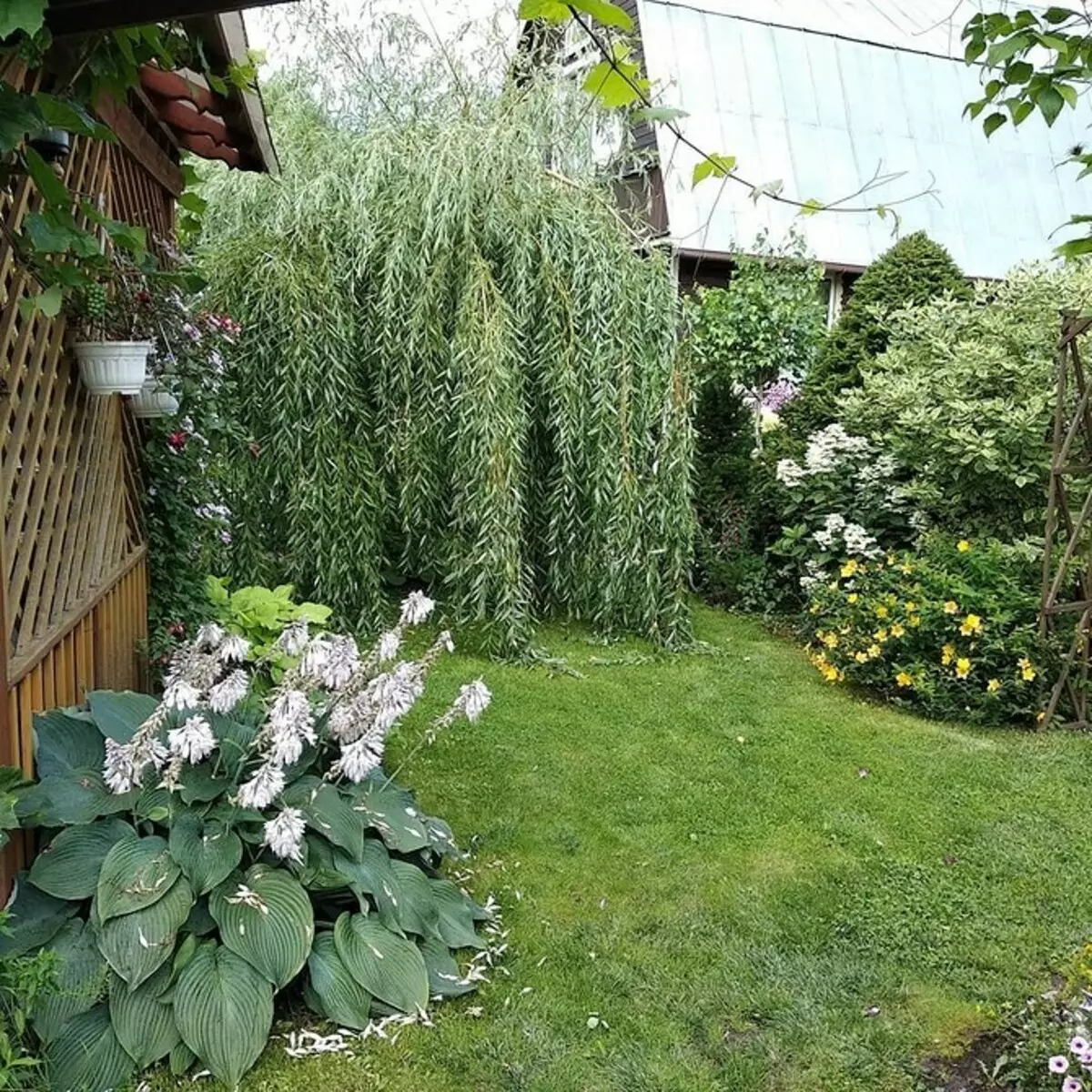 Küçük bir bahçeyi görsel olarak geniş yapılır: 10 Akıllı Teknik 8245_7