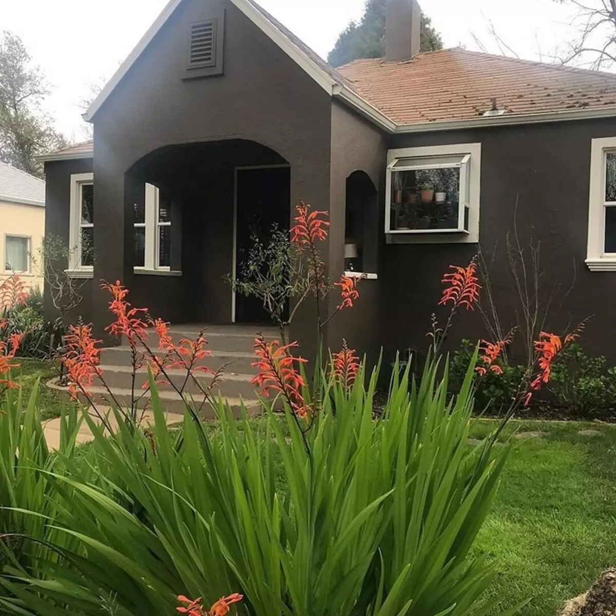 איזה צבע לצייר את הבית בחוץ כדי להיות יפה ומעשית 8311_17
