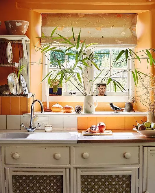 المطبخ البرتقالي في الداخل: نحن تفكيك الايجابيات والسلبيات ومجموعات الألوان الناجحة 8372_62