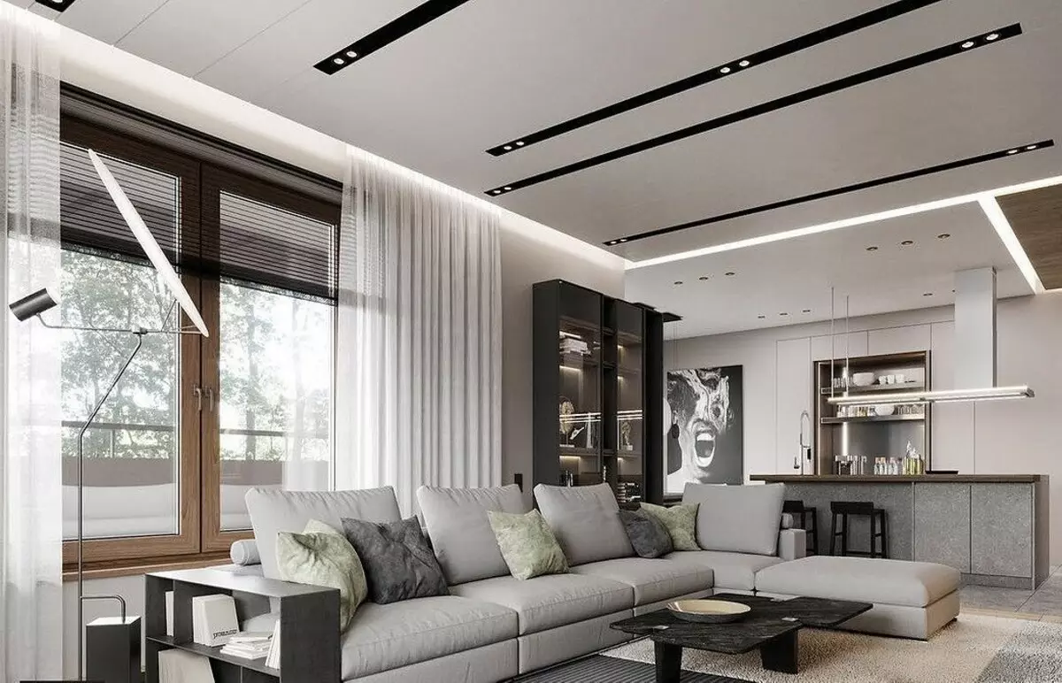 Loo minimalismi elutoa disain: valiku näpunäited viimistlemiseks, mööbel ja sisekujundus 8456_75