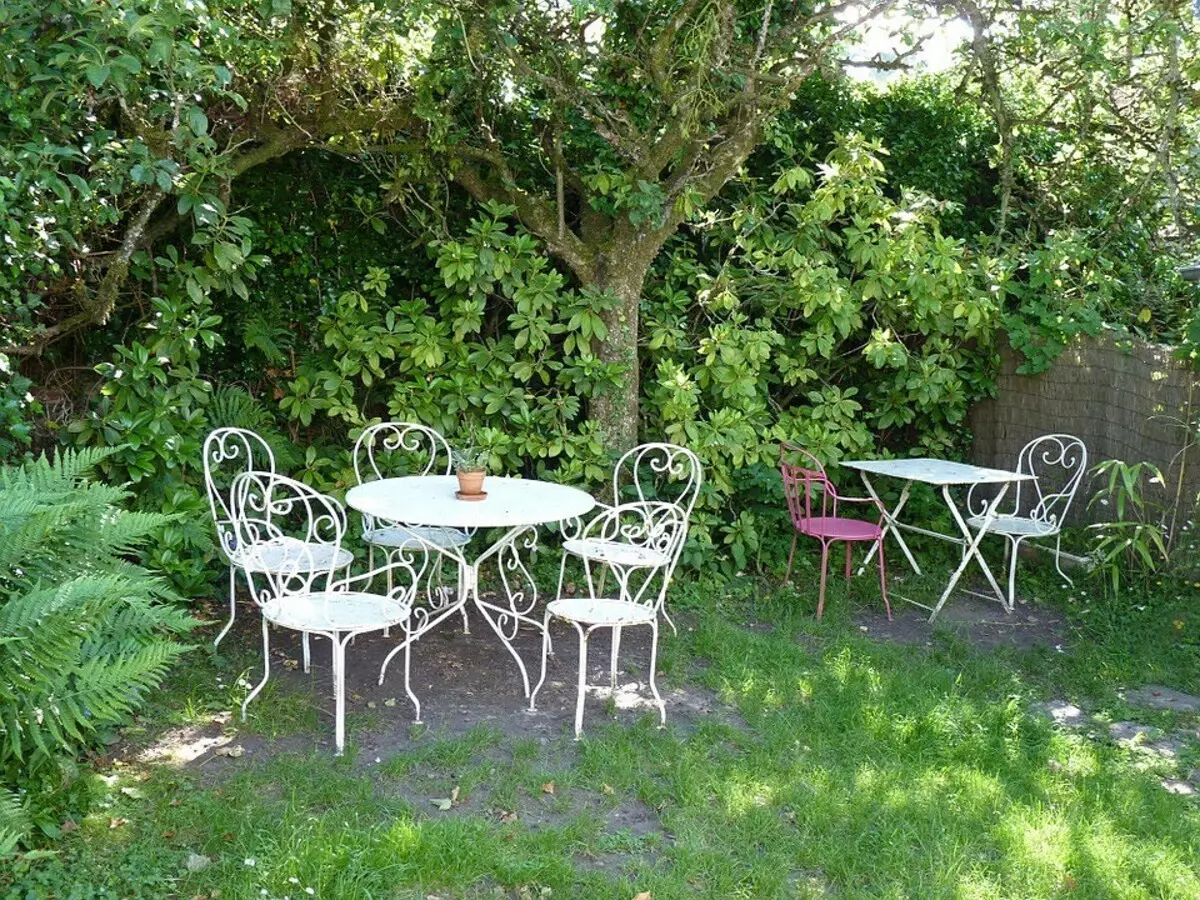 Mobles de jardí per a cases d'estiu: com triar i tenir cura correctament 8577_11