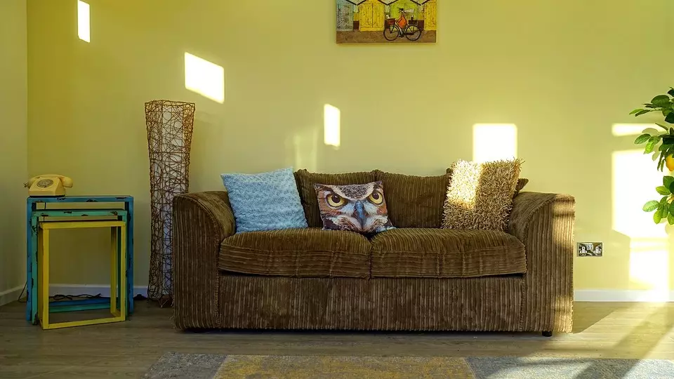 Tapicería adecuada: cómo elegir un paño para el sofá. 8601_16