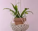 ფარდებიდან ავეჯით: Macrame Decor- ის 13 ვარიანტი 8603_129