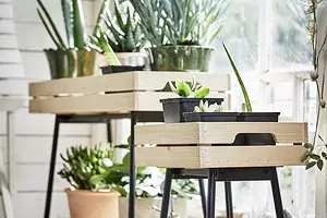 Dekoratiewe kweekhuis en 8 meer bruikbare nuwighede van IKEA vir huishoudelike plante 8774_1