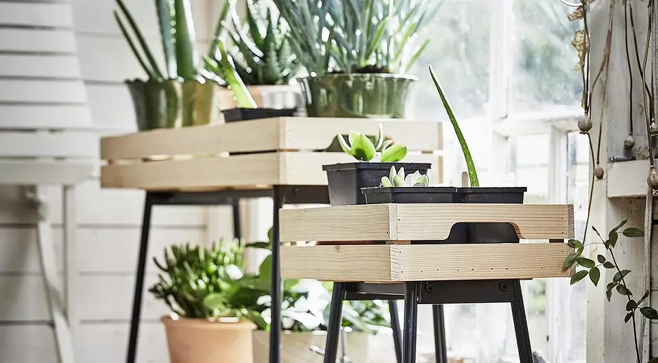 सजावटी ग्रीनहाउस र घर बिरुवाहरूको लागि Ikea बाट over थप उपयोगी नवनिर्देशनहरू