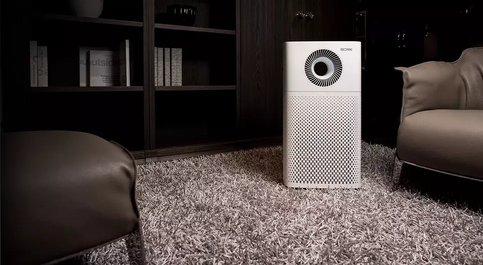 Hvernig Til Velja The Best Air Purifier: Gagnlegar ábendingar og Model Review 8795_11