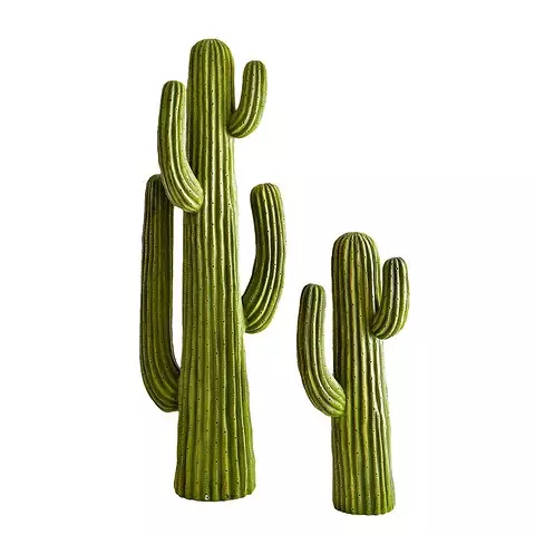 Skaičiai Cactus nuo plastikų