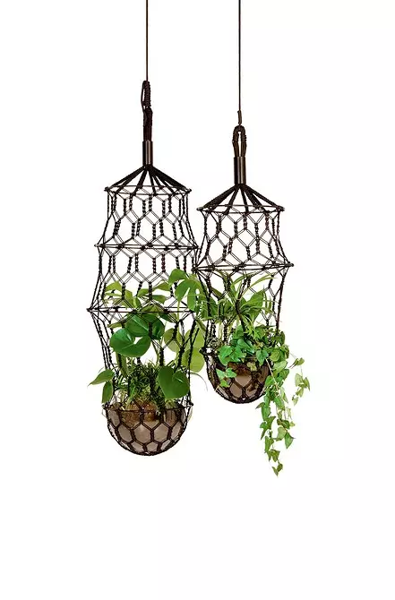 Kashpo lamps, plants in furniture and 7 more creative ideas for home greenhouses 8838_10