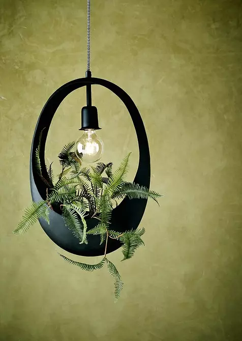 Kashpo lampy, rastliny v nábytku a 7 viac kreatívnych nápadov pre domáce skleníky 8838_15