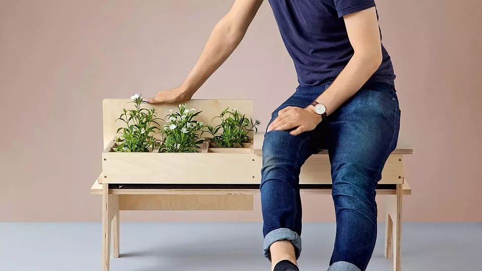 カシュポランプ、家具の植物と7人の創造的なアイデア家の温室 8838_28