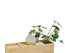 Becuri Kashpo, plante în mobilier și 7 mai multe idei creative pentru sere de acasă 8838_29