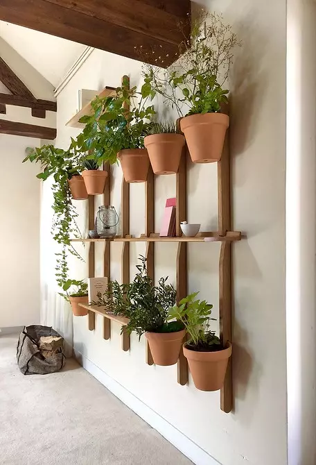 カシュポランプ、家具の植物と7人の創造的なアイデア家の温室 8838_36
