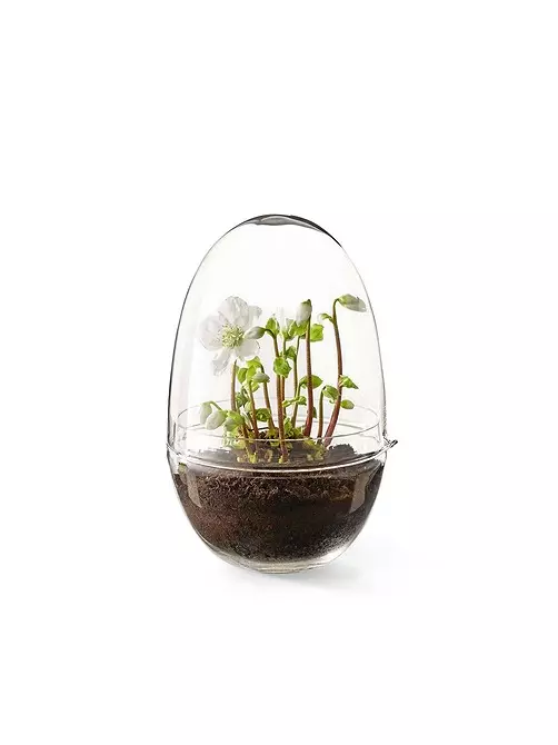 Kashpo lampy, rastliny v nábytku a 7 viac kreatívnych nápadov pre domáce skleníky 8838_45