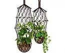 Llambat e KASHPO, bimët në mobilje dhe 7 ide më kreative për serra në shtëpi 8838_7
