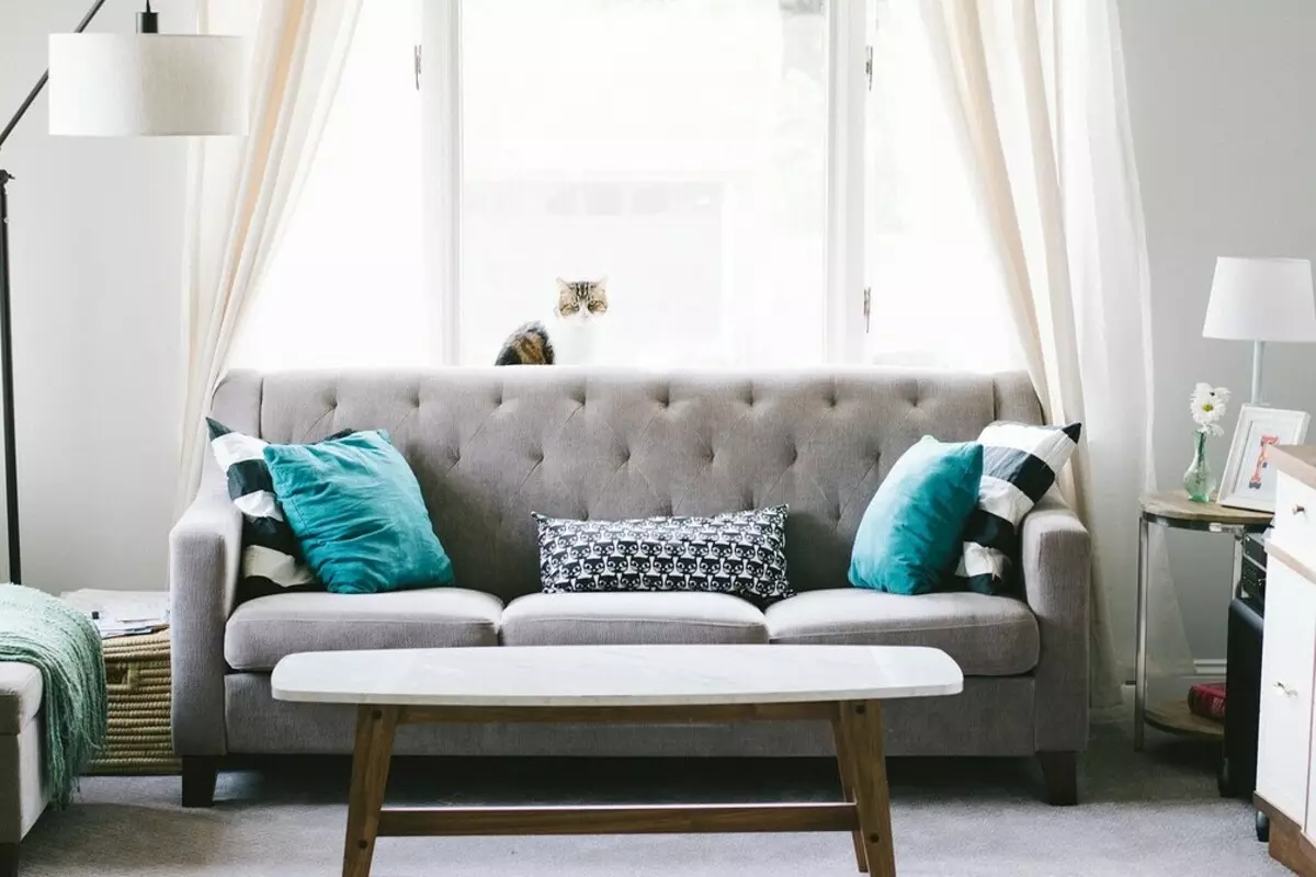 Hoe meubels in de woonkamer plaatsen: een eenvoudige instructie en 70+ Photoy 8916_171