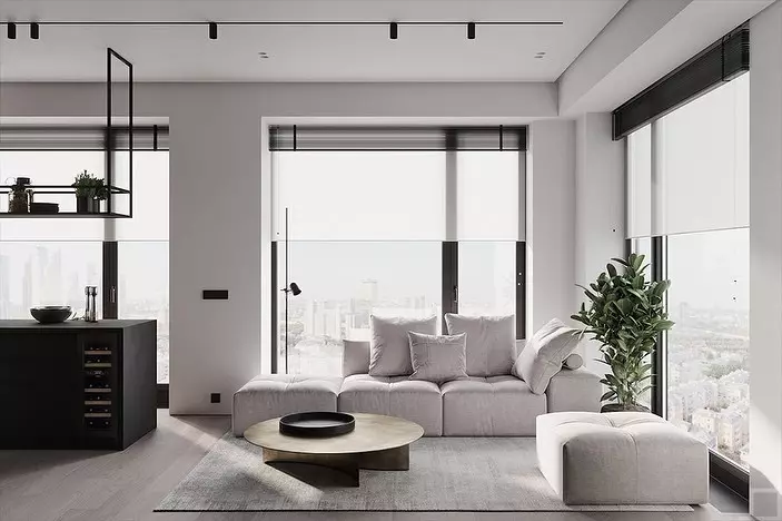 15 signes de sofà de moda i moderna per a la sala d'estar el 2021 8938_12