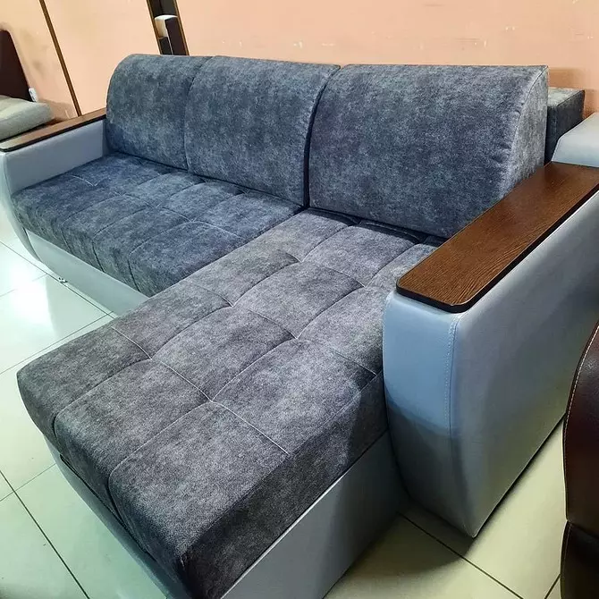 6 nga mga modelo sa mga sofas nga wala'y paglaum nga wala'y paglaum 8971_7