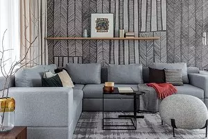 Ungalokothi ushiye imfashini: grey sofa ngaphakathi ngaphakathi 8983_1