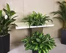 6 rooms in which artificial plants can be used 8984_59