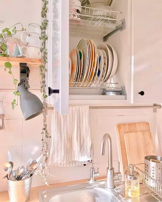 So stellen Sie ein Kücheninnenraum in der Hütte aus: stilistische Lösungen und 45+ phopoy 9012_82
