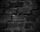 Seeling Griets en paredes de ladrillo: instrucciones, consejos y video. 9037_16