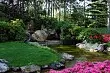 How to make beautiful flower beds, decorated with stones: choose suitable materials and breeds