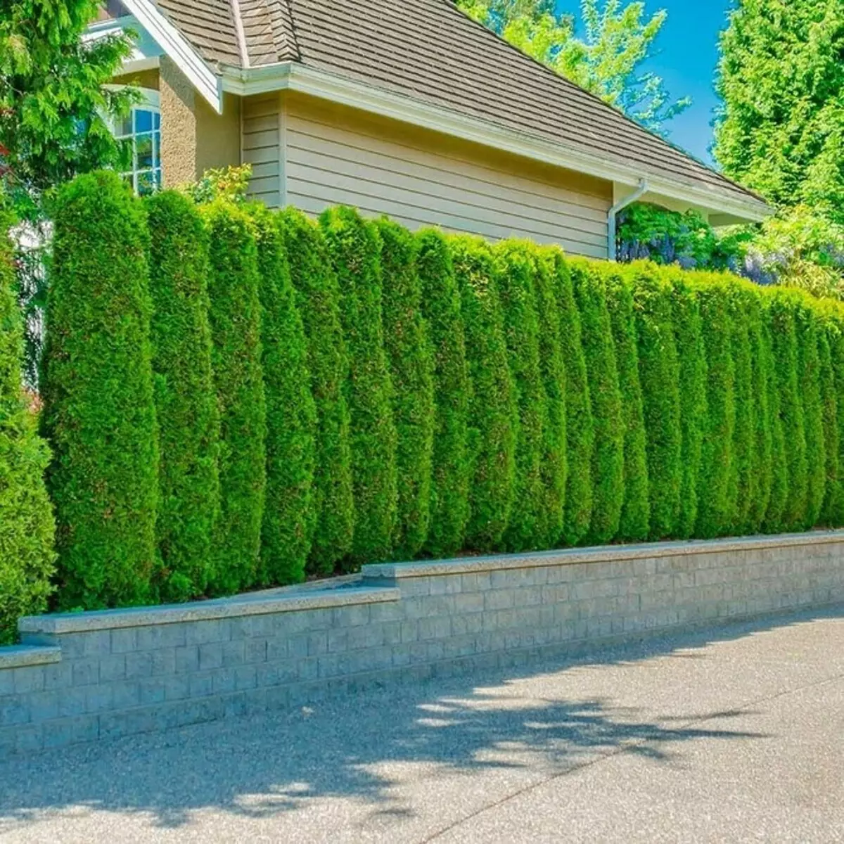 Design della trama delle famiglie in una casa privata: consigli utili e 50 foto di oggetti reali 9063_21