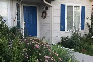 Prekrasna cvjetnjaka u dvorištu privatne kuće: 35 fotokomomoznih koji pretvaraju malu parcelu 9097_1