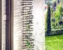 একটি প্রাইভেট হাউস এর আঙ্গিনা মধ্যে সুন্দর ফুলের বিছানা: 35 ফটোকোম্পোজিশন যা একটি ছোট প্লট রূপান্তর করা হয় 9097_20