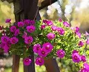 Gyönyörű virágágyások egy magánház udvarán: 35 olyan fotokompozíciók, amelyek egy kis telek konvertálódnak 9097_29