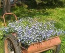 Gyönyörű virágágyások egy magánház udvarán: 35 olyan fotokompozíciók, amelyek egy kis telek konvertálódnak 9097_61