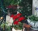 Mooie bloembedden op de binnenplaats van een privé-huis: 35 fotokomposities die een klein perceel omzetten 9097_65