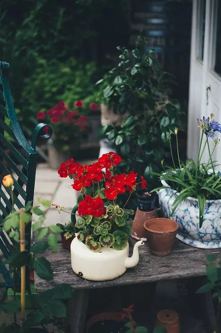 Prekrasna cvjetnjaka u dvorištu privatne kuće: 35 fotokomomoznih koji pretvaraju malu parcelu 9097_68