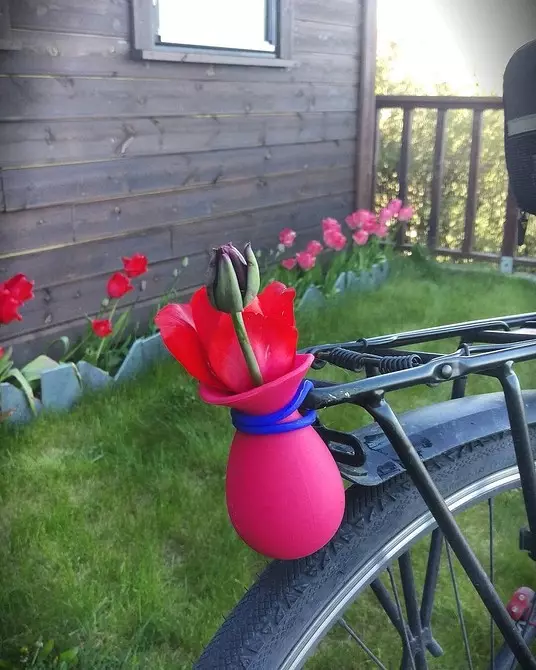 Prekrasna cvjetnjaka u dvorištu privatne kuće: 35 fotokomomoznih koji pretvaraju malu parcelu 9097_79
